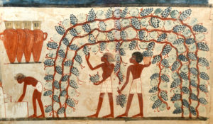 Uomini che fanno il vino, dettaglio della pittura murale egizia della XVIII dinastia (XVI – XIV secolo a.C.), tomba di Nakht, Tebe